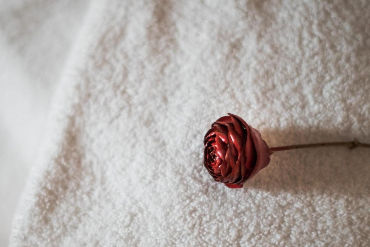 몬탈치노 Dimora Delle Muse B&B 외부 사진